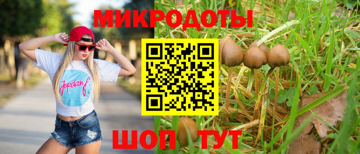 Галлюциногенные грибы мухоморы Грязи
