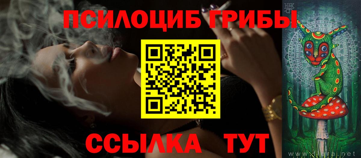 Псилоцибиновые грибы Psilocybine cubensis  Вход с VPN  Грязи 